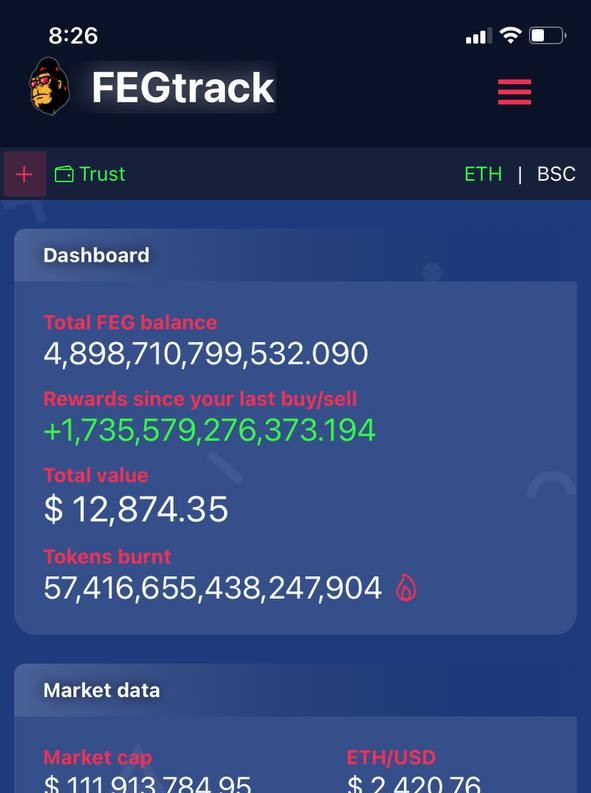 FEGtrack $12,874