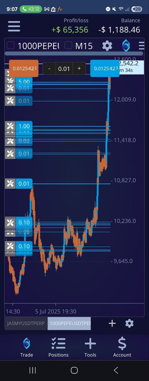 +$65,356 Profit/Loss
