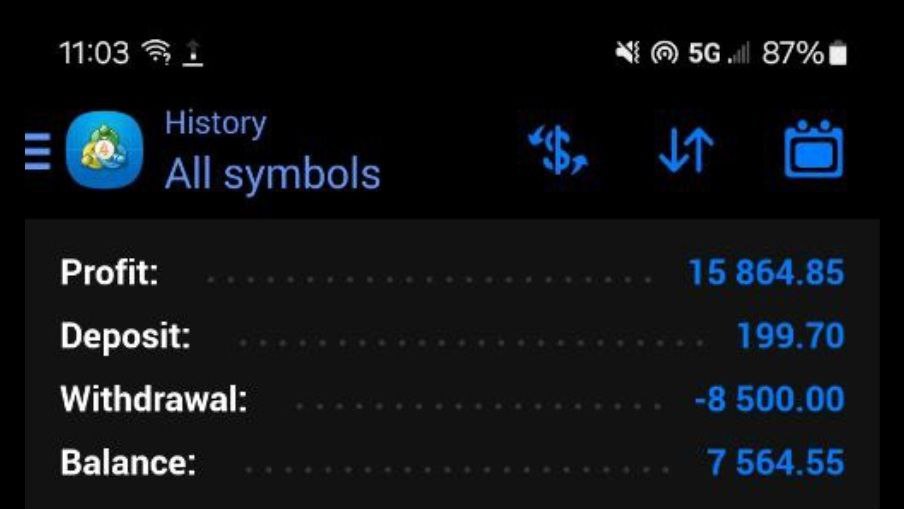 $199 → $15,864 Profit