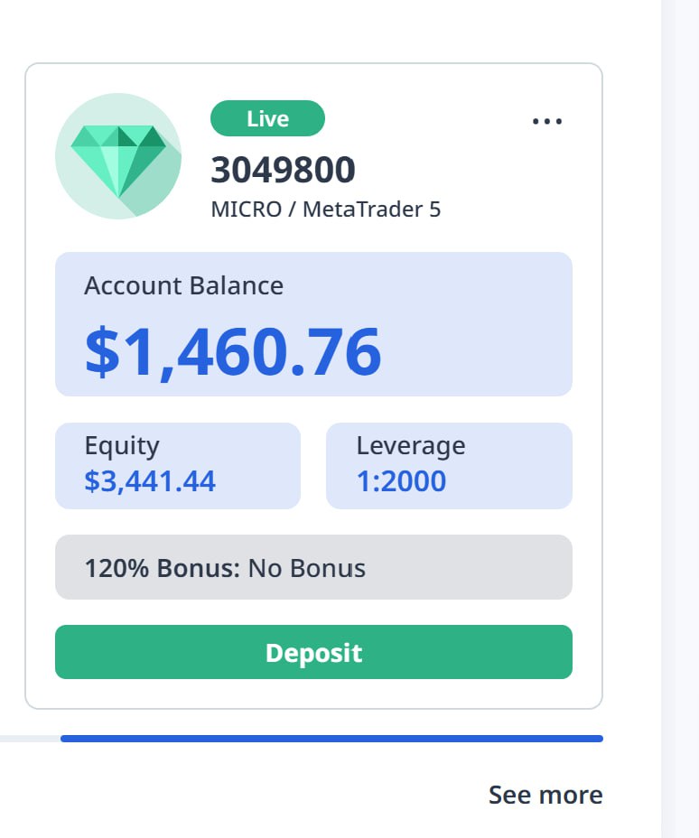 $1,460 Balance · $3,441 Equity